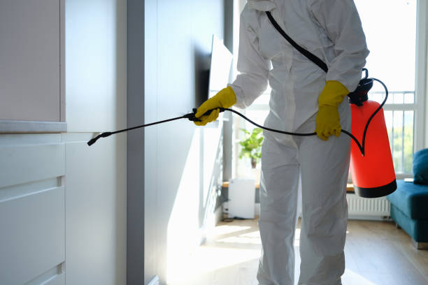 Mold Remediation for Vacation Homes in Romeo, MI